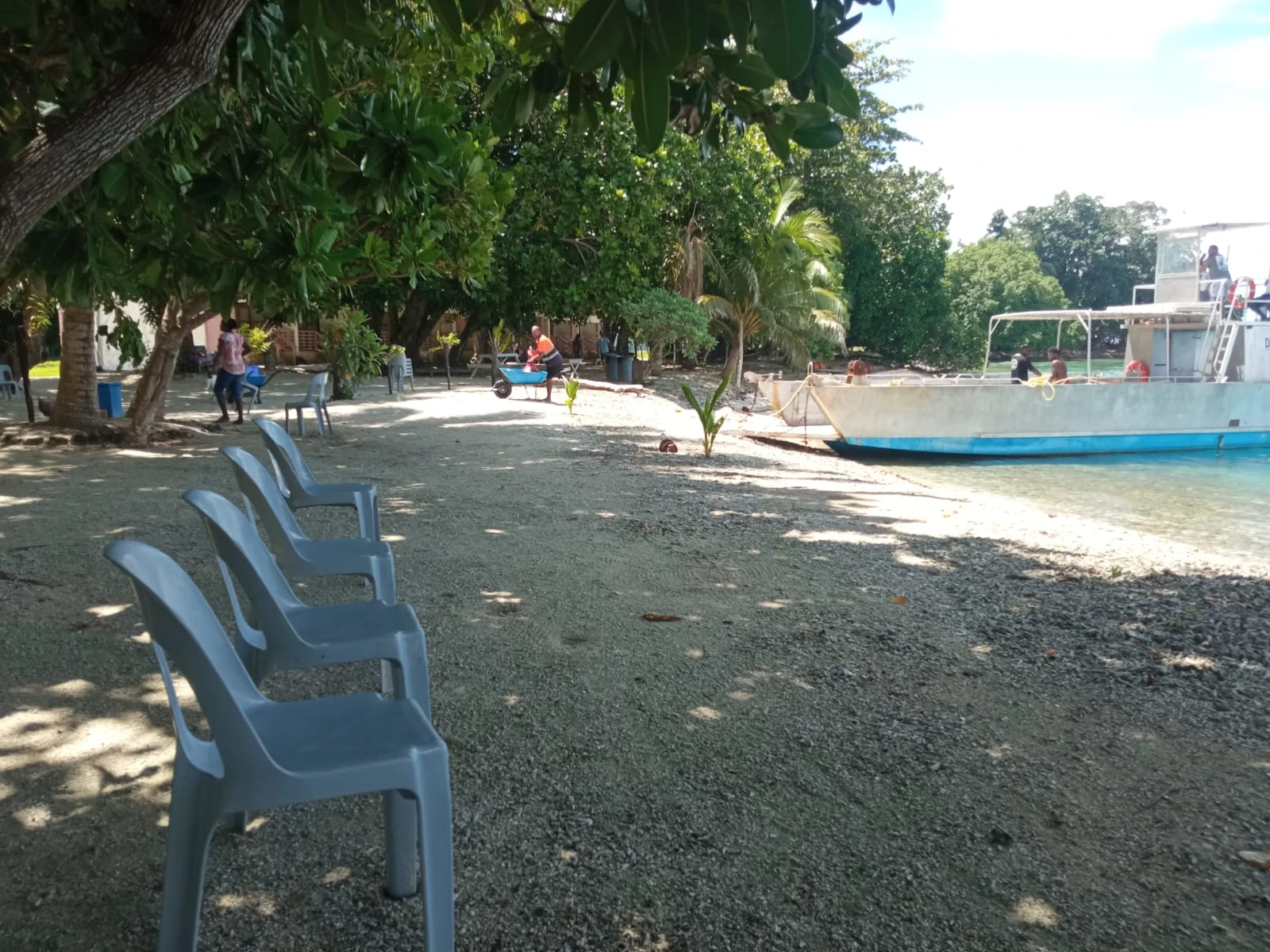 image-photo